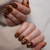 Inglass nails classic tortoiseshell nails. Tortoiseshell nail art. Fall 2025 nails. Reusable nail extensions set. 