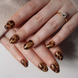 Inglass nails classic tortoiseshell nails. Tortoiseshell nail art. Fall 2025 nails. Reusable nail extensions set. 
